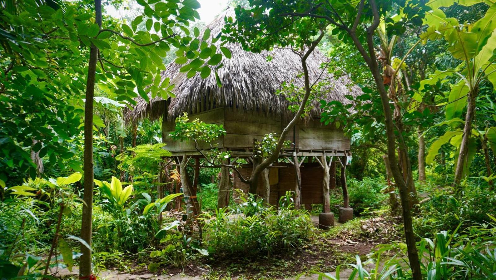 Auberge de jeunesse El Zopilote à Balgue Chambre photo