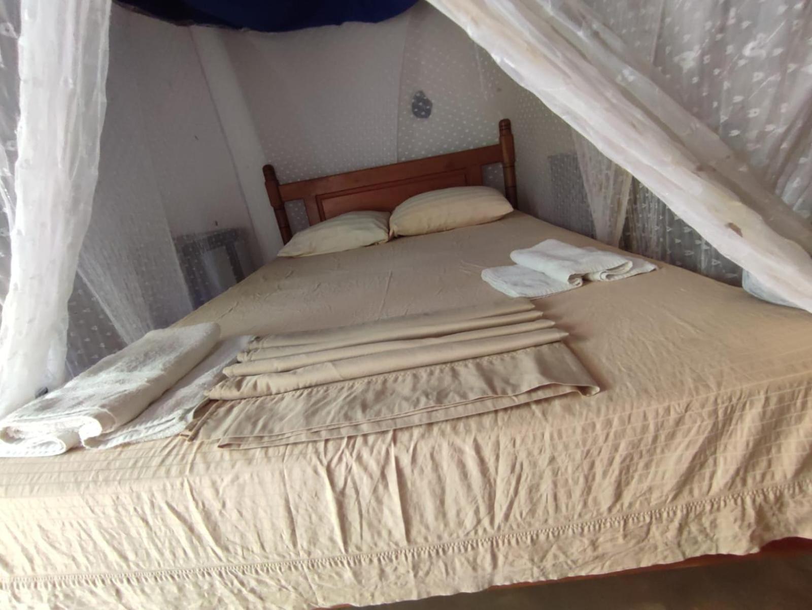 Auberge de jeunesse El Zopilote à Balgue Chambre photo