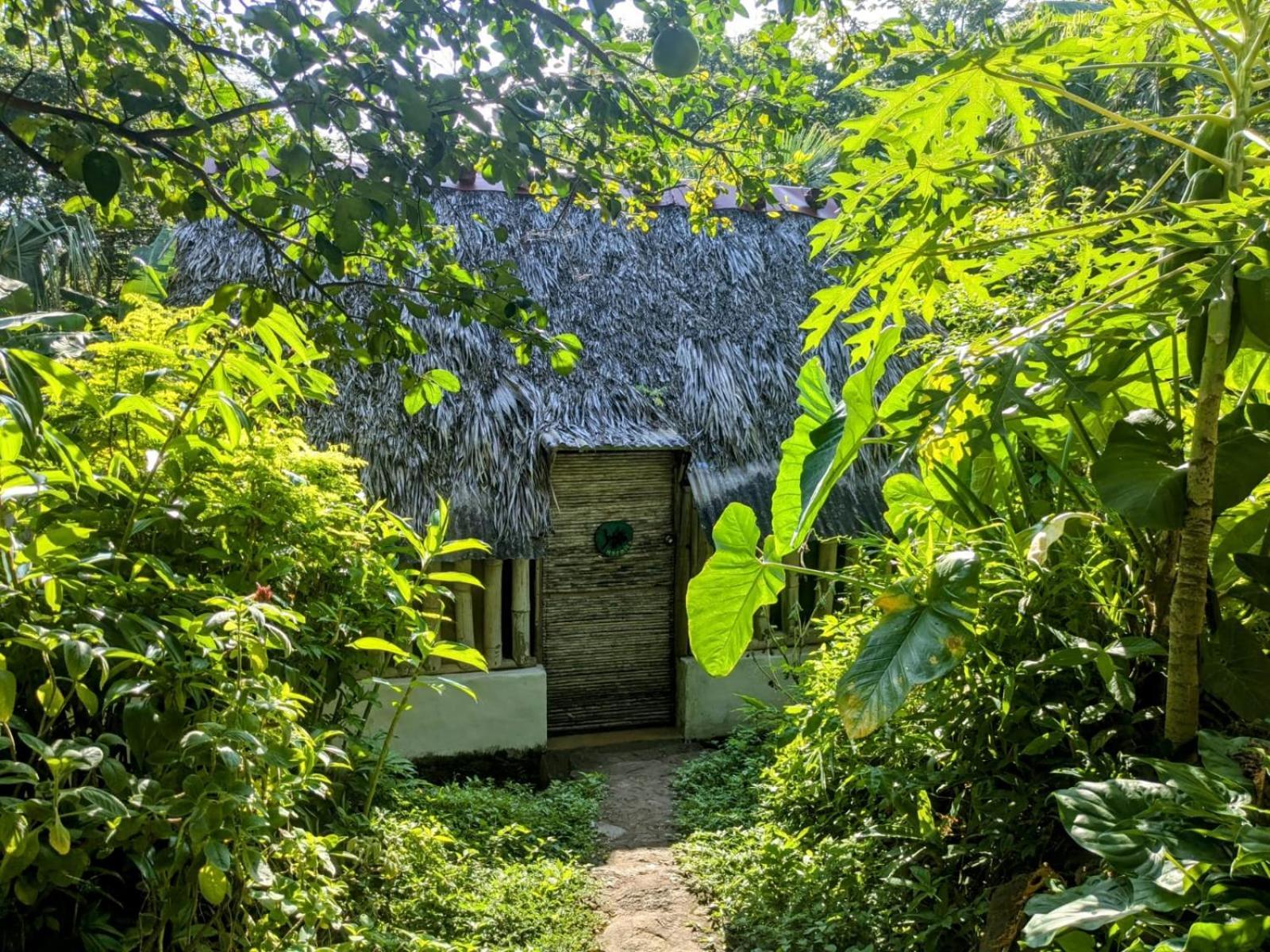 Auberge de jeunesse El Zopilote à Balgue Extérieur photo